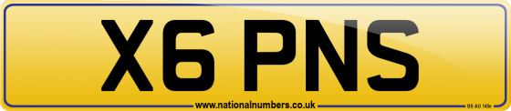 X6 PNS