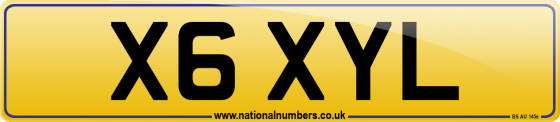 X6 XYL