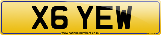 X6 YEW