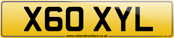 X60 XYL
