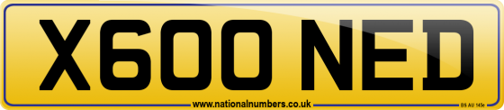 X600 NED