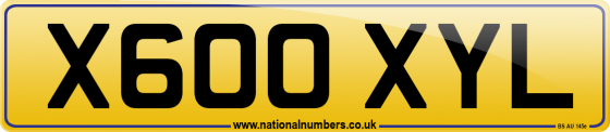 X600 XYL