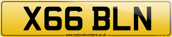 X66 BLN