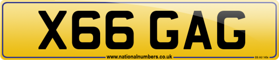 X66 GAG