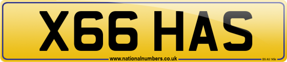 X66 HAS