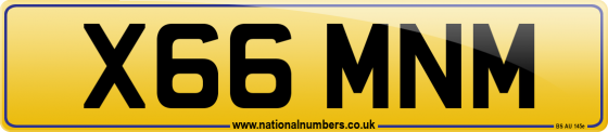 X66 MNM