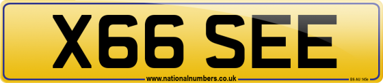 X66 SEE