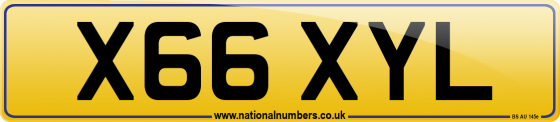 X66 XYL