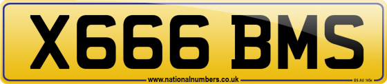 X666 BMS