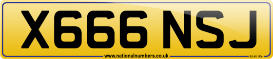 X666 NSJ