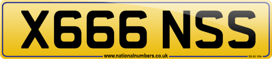 X666 NSS