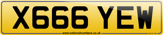 X666 YEW
