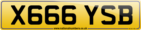 X666 YSB