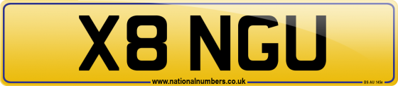 X8 NGU