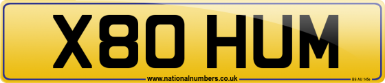 X80 HUM