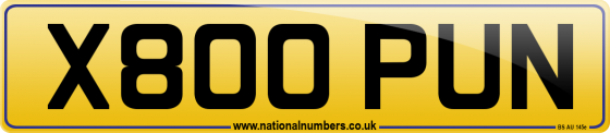 X800 PUN