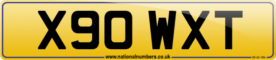 X90 WXT