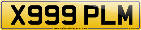 X999 PLM
