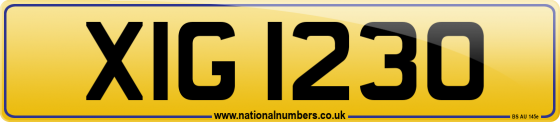 XIG 1230
