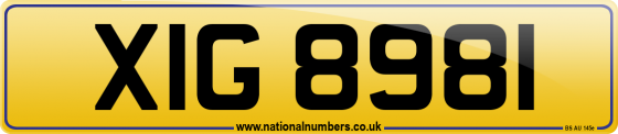 XIG 8981