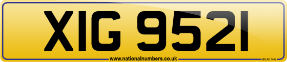 XIG 9521
