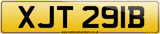 XJT 291B
