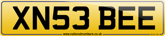 XN53 BEE