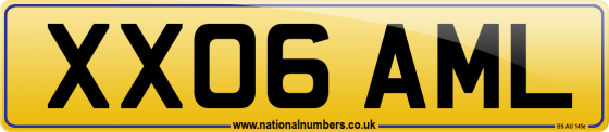 XX06 AML