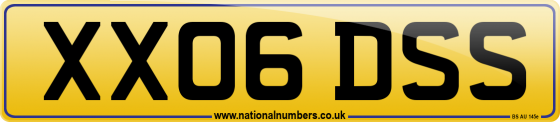 XX06 DSS