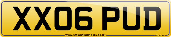 XX06 PUD