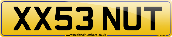 XX53 NUT