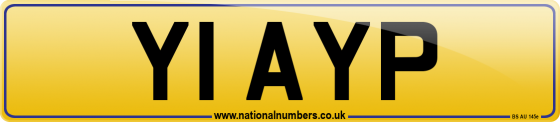 Y1 AYP