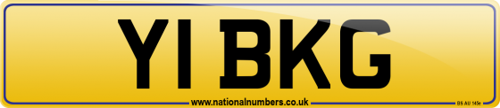 Y1 BKG