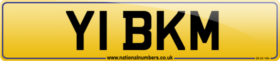 Y1 BKM