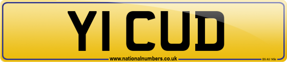 Y1 CUD