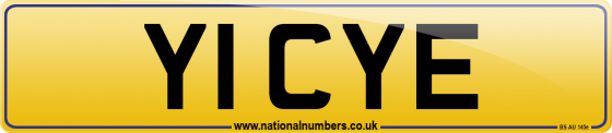 Y1 CYE