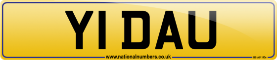 Y1 DAU