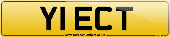 Y1 ECT