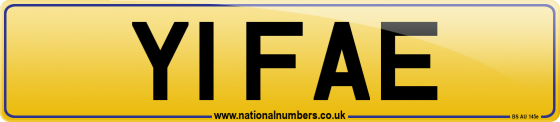 Y1 FAE