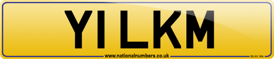 Y1 LKM