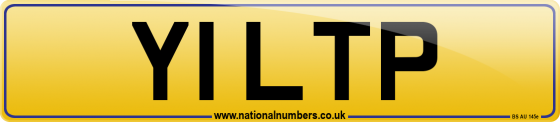 Y1 LTP
