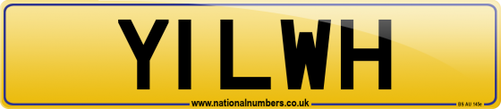 Y1 LWH