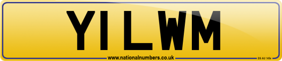 Y1 LWM
