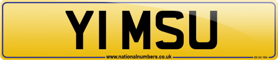 Y1 MSU