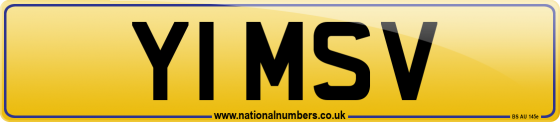 Y1 MSV