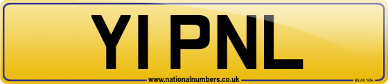 Y1 PNL