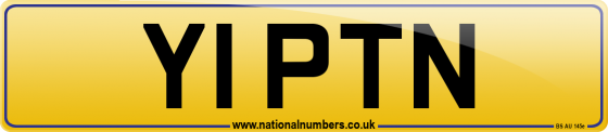 Y1 PTN