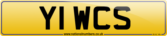 Y1 WCS
