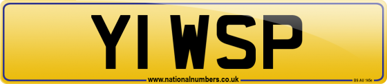Y1 WSP