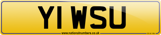 Y1 WSU